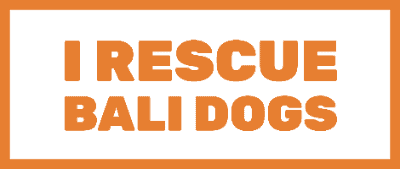 Stichting I Rescue Bali Dogs logo
